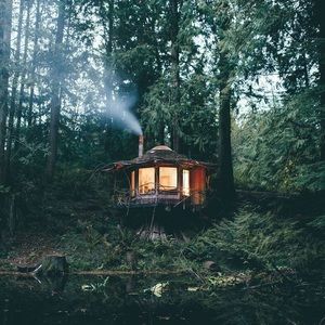 Meet your Posher, Golden